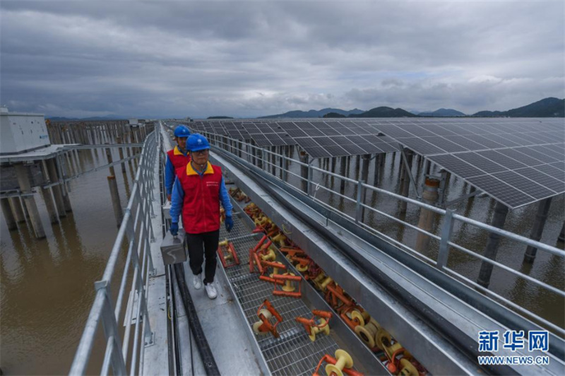 Zhejiang: la convergence de la pêche et de l'énergie photovolta?que se développe sur une grande vasière