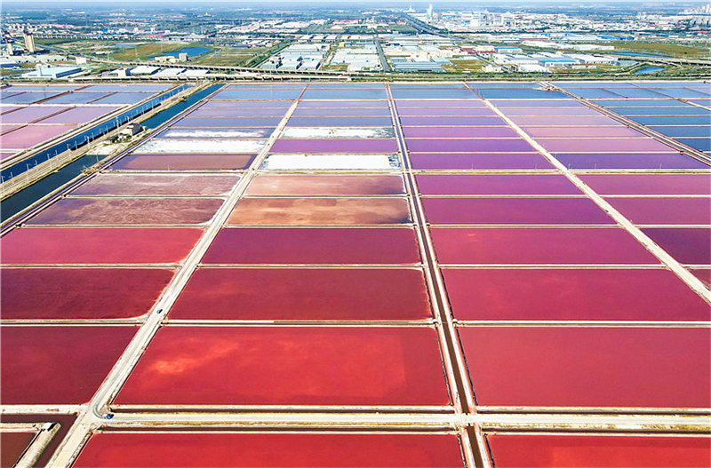 En photos : le salin coloré de Tianjin