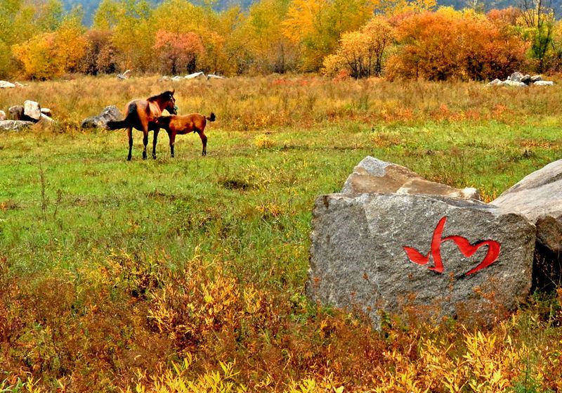 Heilongjiang : à la découverte du village de Beiji à Mohe, le plus septentrional de Chine