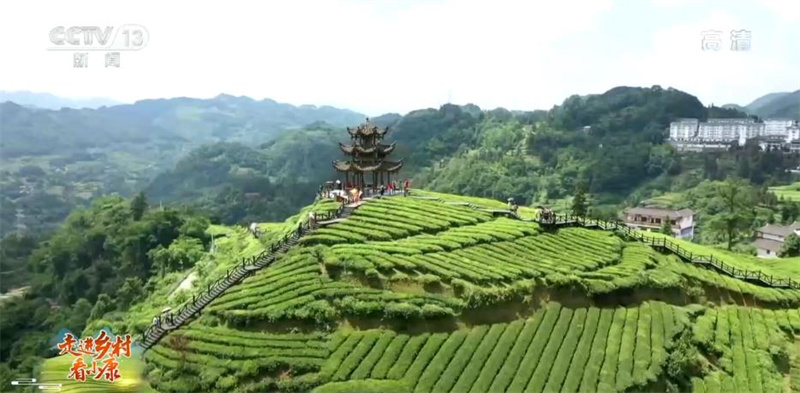 La construction d'une zone touristique de la culture du thé dans le village de Wujiatai, dans le Hubei