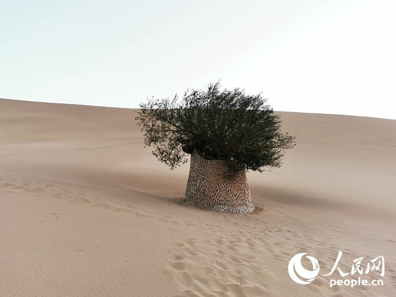 Le millénaire de Dunhuang : une longue histoire culturelle et une coexistence de sources et montagnes