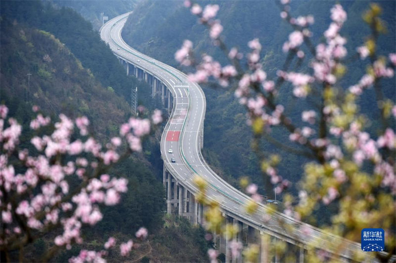 La province du Guizhou, le ? musée du pont ? de la Chine