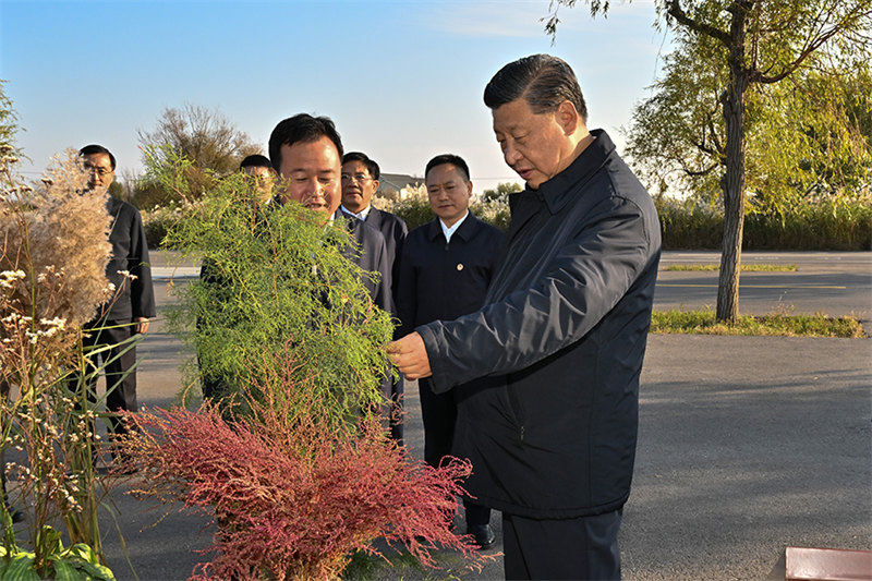 Xi Jinping inspecte l'estuaire du fleuve Jaune