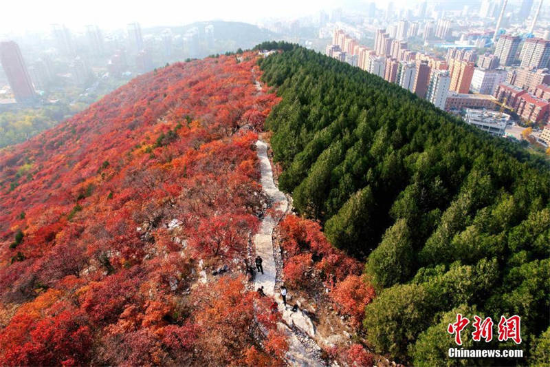 Vue aérienne du mont Xiezi à Jinan dans le Shandong, moitié vert et moitié rouge