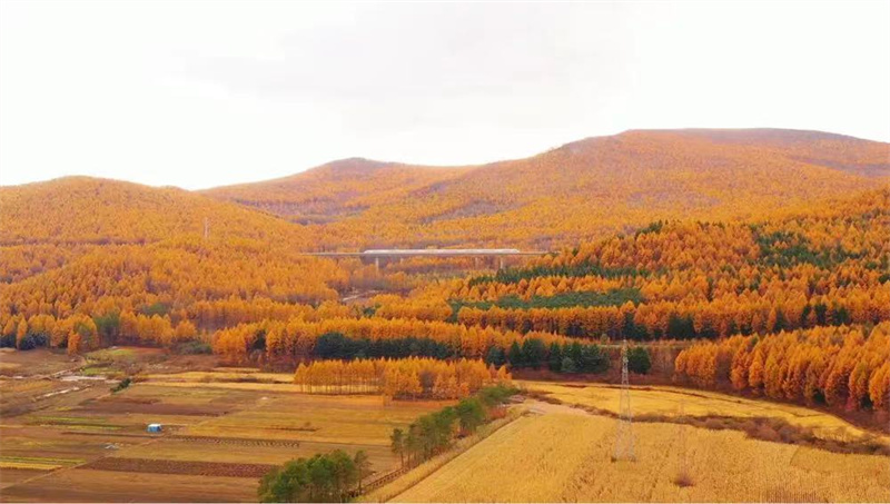 Deux magnifiques trains à grande vitesse mis en service en Chine aujourd'hui