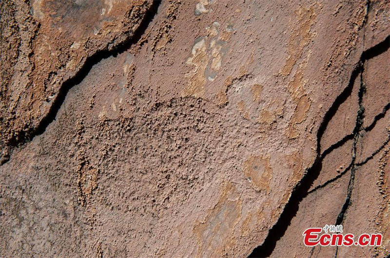 Découverte de peintures rupestres anciennes dans le Qinghai