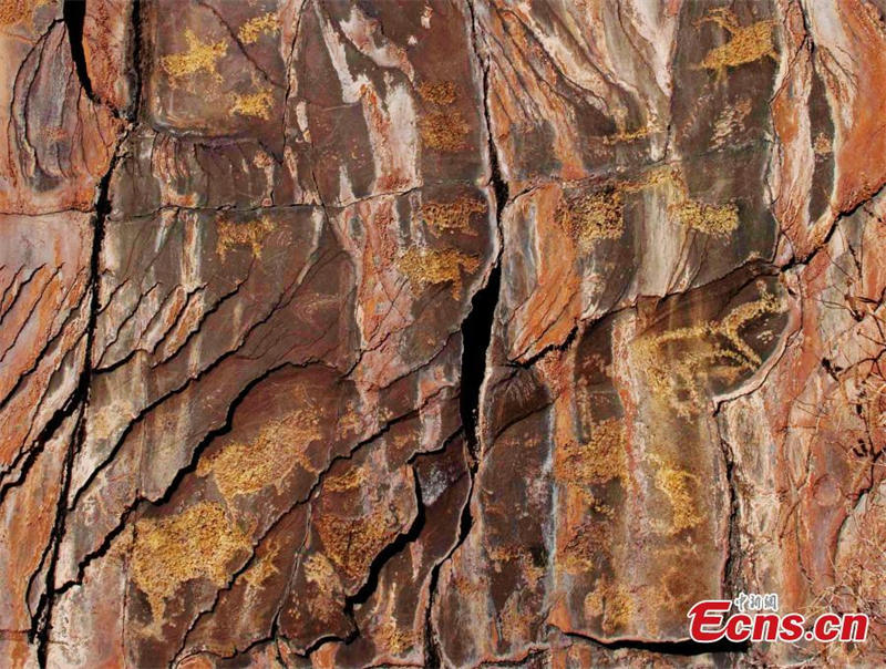 Découverte de peintures rupestres anciennes dans le Qinghai