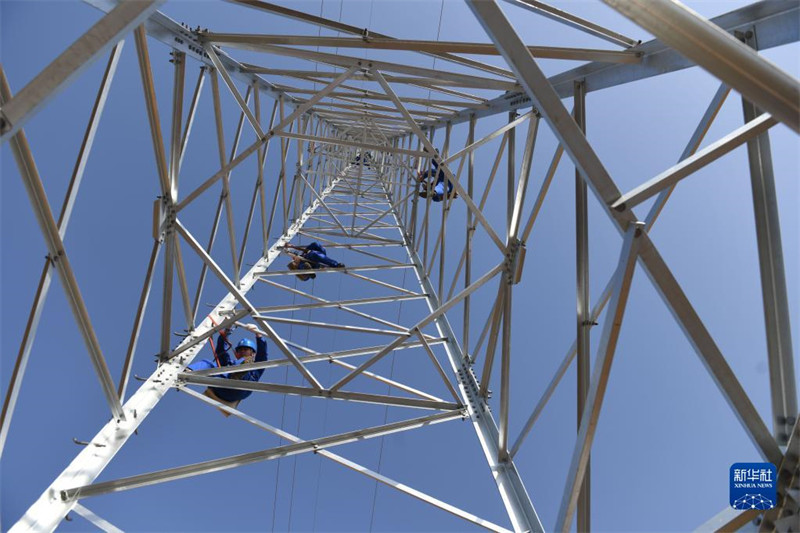 Un groupe de personnes ? chasse le vent ? le long d'une ligne d'énergie verte