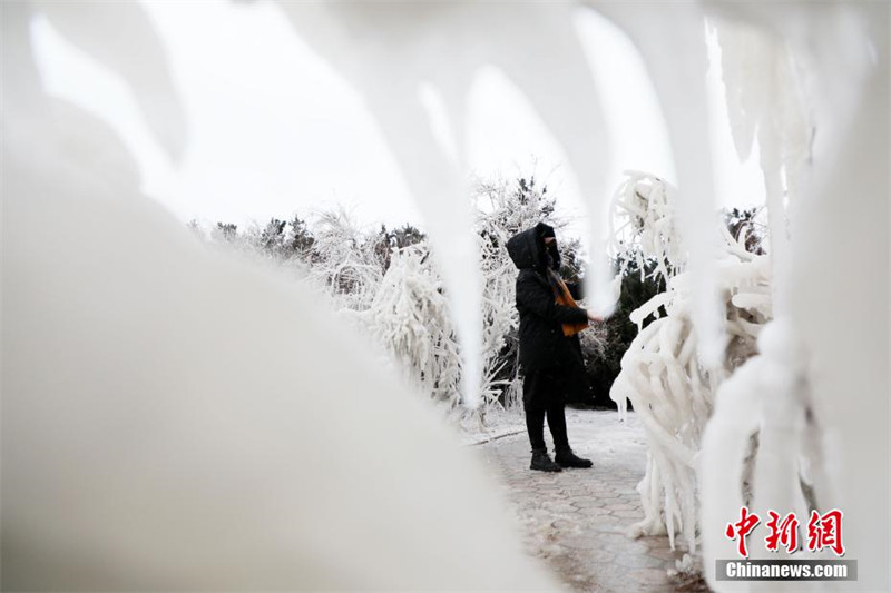 Shandong : à Weihai, le paysage de glace ressemble à un ? monde de glace et de neige ?