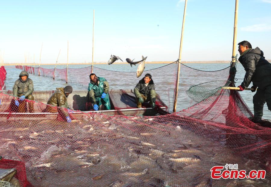 Une pêche hivernale exceptionnelle en cours dans la province de l'Anhui