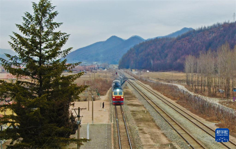 Une foire du Nouvel An chinois dans un train lent