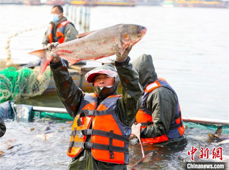 Jiangsu : la saison de la pêche d'hiver bat son plein à Taizhou