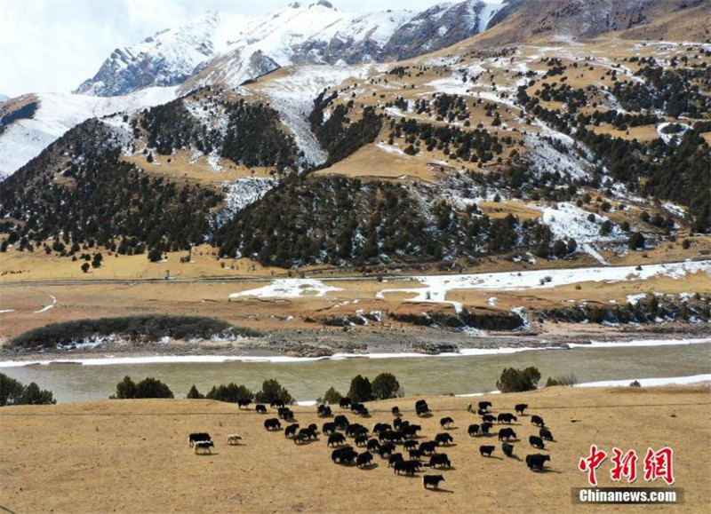 Les paysages de neige du Parc national de Sanjingyuan vus du ciel