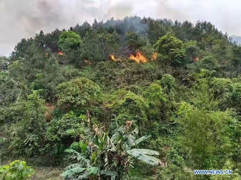 Crash d'un avion de passagers dans le sud de la Chine