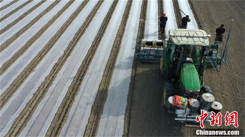 Le semis mécanisé d'un million de mu de coton dans un comté de coton du Xinjiang