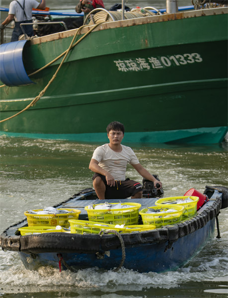 Hainan : une pêche fructueuse par un beau temps printanier