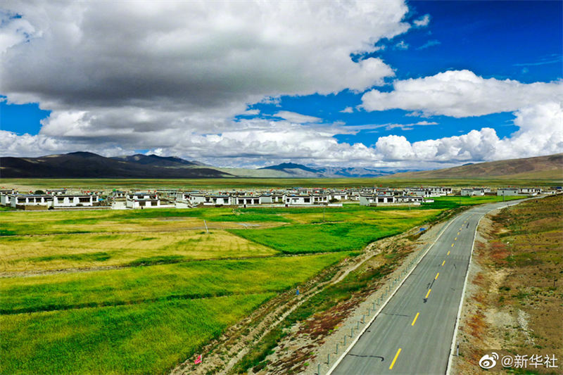 Le kilométrage total des routes rurales au Tibet dépasse les 90 000 km