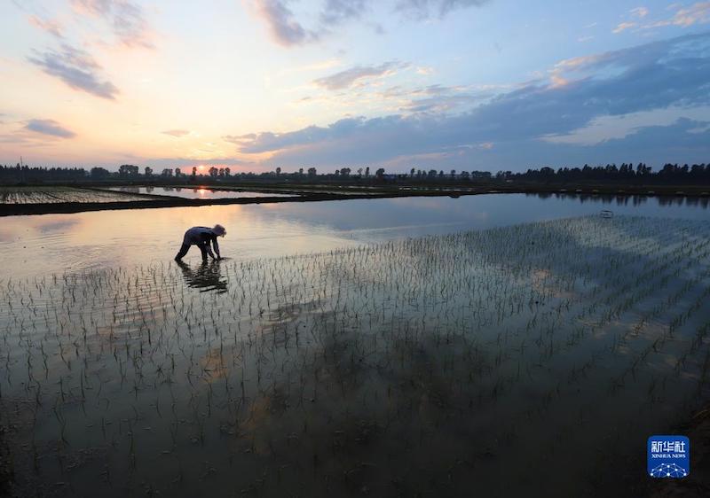 Sichuan : les villageois s'affairent aux activités agricoles