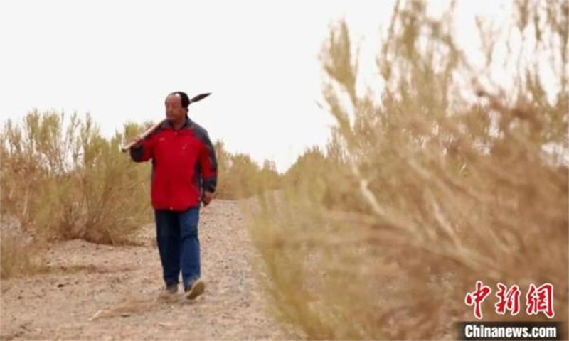 Mongolie intérieure : naguère stérile, la bannière d'Ejine est aujourd'hui devenue une oasis verte