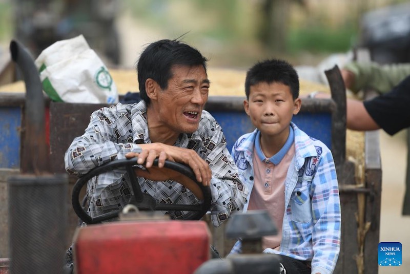 La récolte du blé dans le Henan