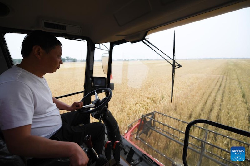 La récolte du blé dans le Henan