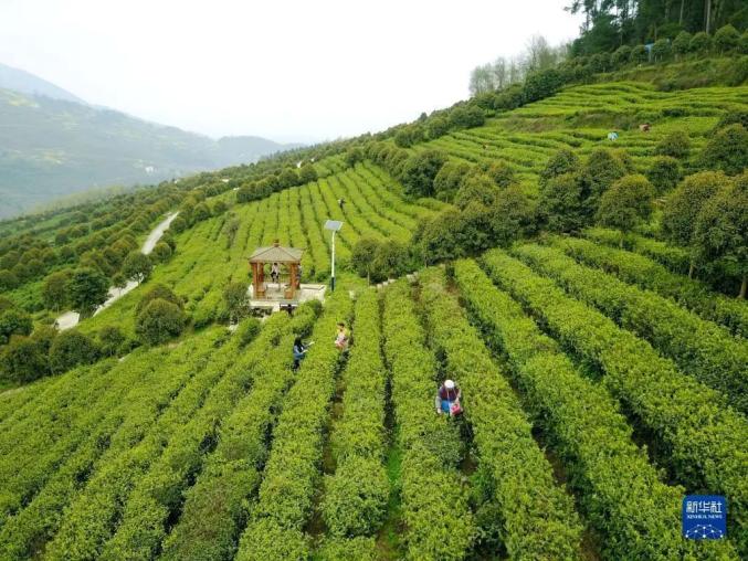 La Chine trace une feuille de route pour la construction rurale vers une belle campagne