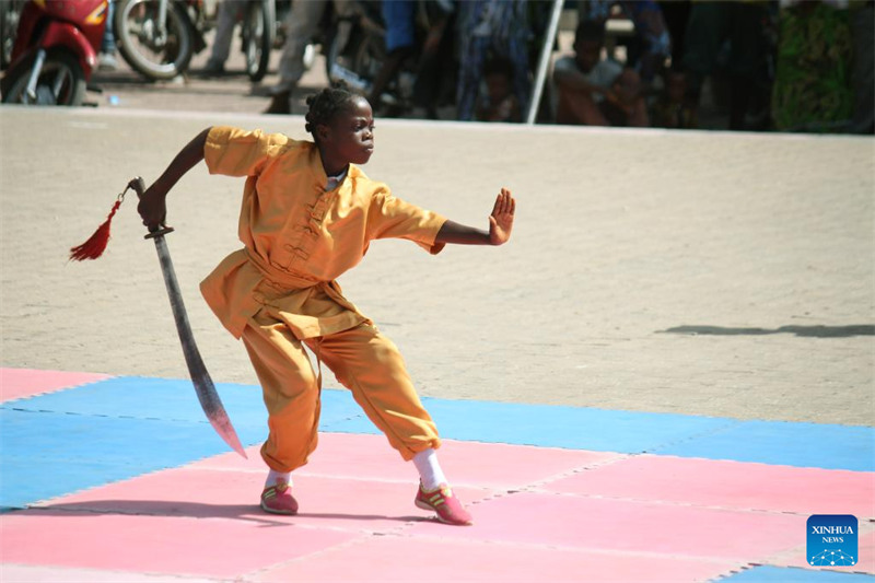 Un spectacle d'arts martiaux chinois donné lors d'une cérémonie de remise de dipl?mes à Cotonou, au Bénin