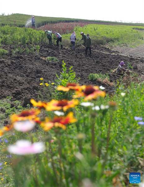 Liaoning : une fosse minière abandonnée transformée en jardin