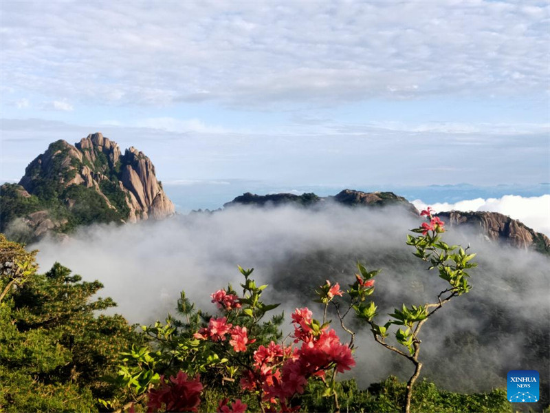 Le mont Huangshan, un patrimoine culturel et naturel mondial