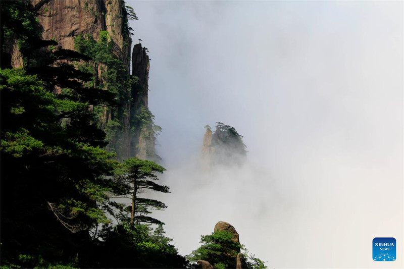 Le mont Huangshan, un patrimoine culturel et naturel mondial