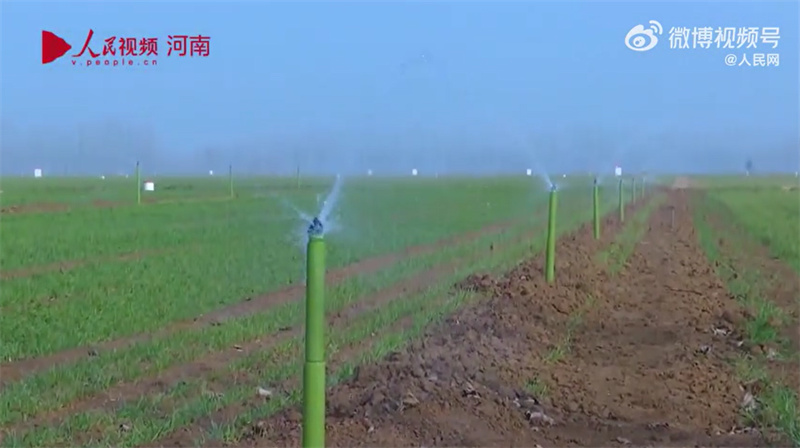 Henan : une scène d'irrigation du blé qui regorge de technologies