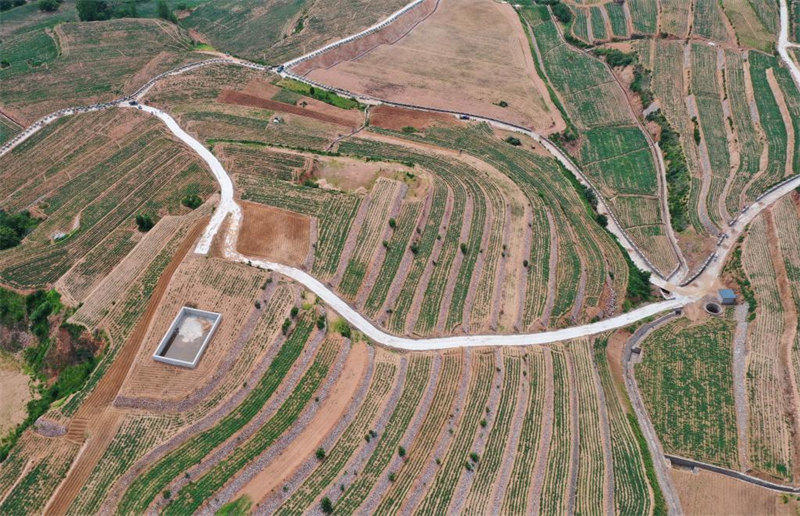 Hebei : la mise en place de l'aménagement des terres à Lulong