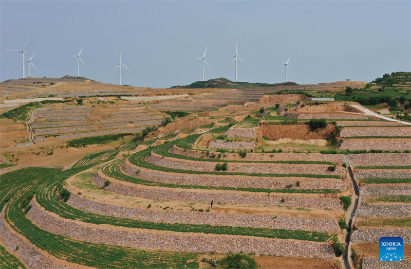 Hebei : la mise en place de l'aménagement des terres à Lulong