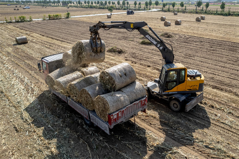 Henan : la paille de ma?s est transformée de déchets en trésor