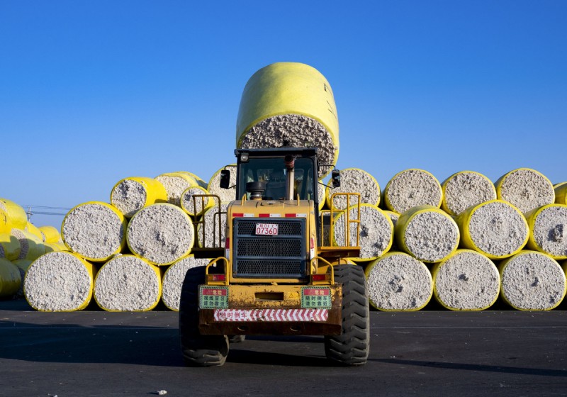 La saison de la récolte du coton au Xinjiang a commencé