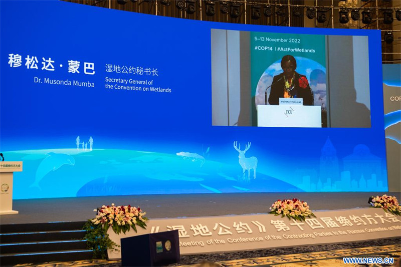 Ouverture de la COP14 sur la conservation des zones humides en Chine et en Suisse