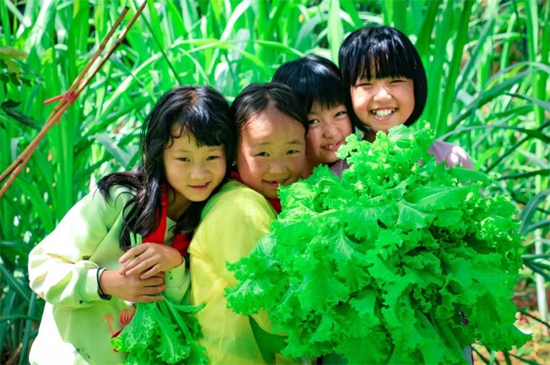 Cette école primaire rurale de Yunnan consomme les matières alimentaires plantées par elle-même