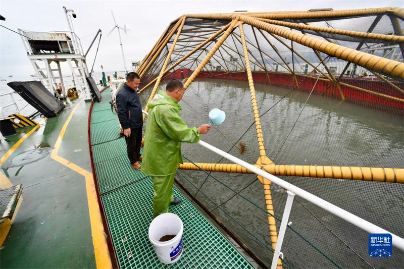 Fujian : les plateformes d'élevage en mer profonde et lointaine contribuent à moderniser et à revitaliser la pêche