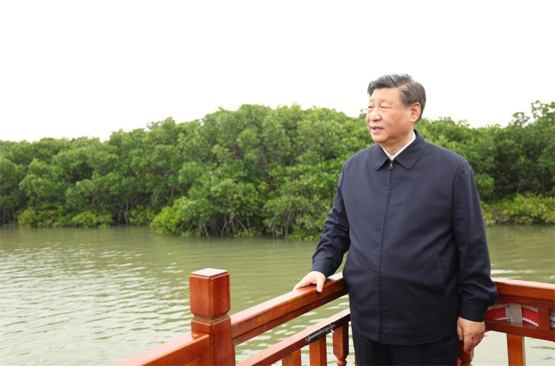 Xi Jinping inspecte la province chinoise du Guangdong