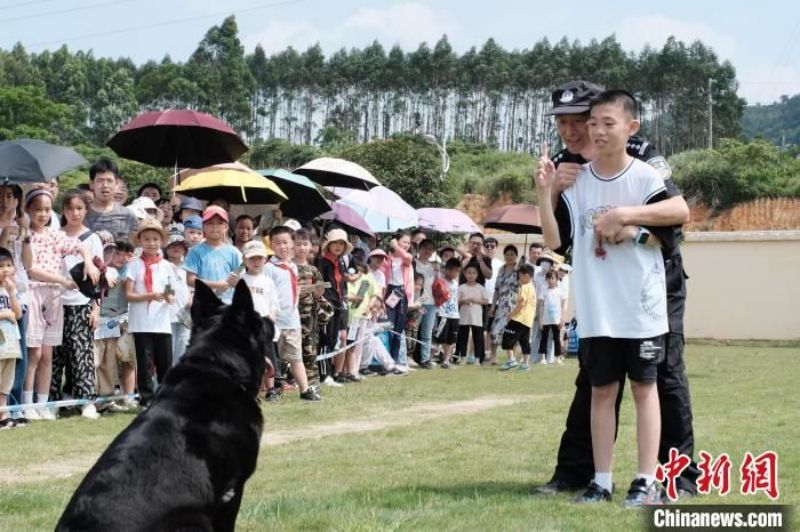 Guangxi : des élèves participent à un entra?nement avec des chiens policiers