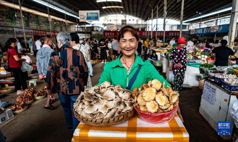 Yunnan: Les champignons sauvages inondent le marché