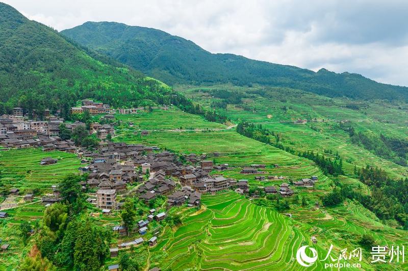 Guizhou: les champs en terrasses pittoresques dans les montagnes à Jiabang