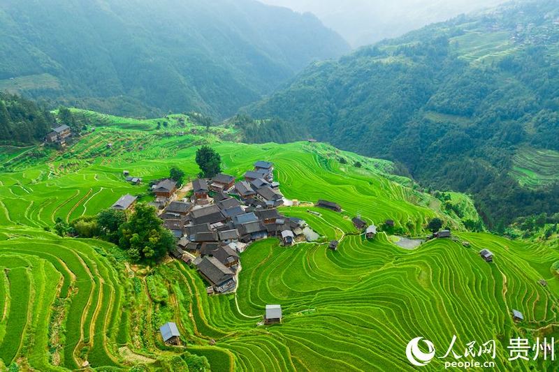 Guizhou: les champs en terrasses pittoresques dans les montagnes à Jiabang