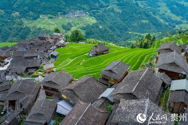 Guizhou: les champs en terrasses pittoresques dans les montagnes à Jiabang