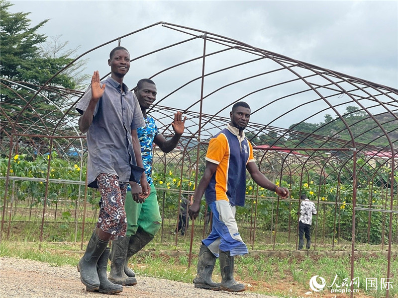 Les experts chinois en technologies agricoles au Nigeria : travailler dur et cultiver des champs prometteurs