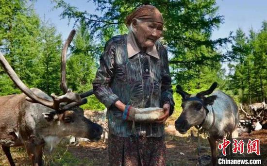 Maliya Suo, dernière matriarche de l'ethnie Ewenk du canton d'Aoluguya. (Photo / China News Service)