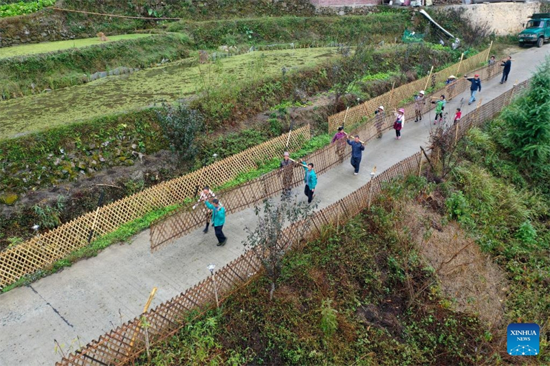 Guangxi : le cadre de vie du village de Wuying continue de s'améliorer grace au programme de plantation d'arbres