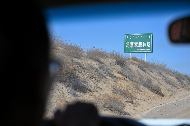 Mongolie intérieure : les revenus augmentent grace à la lutte contre la désertification