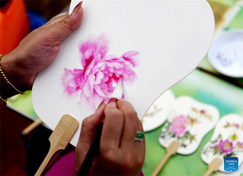 Henan : Luoyang développe la culture liée aux fleurs de pivoine