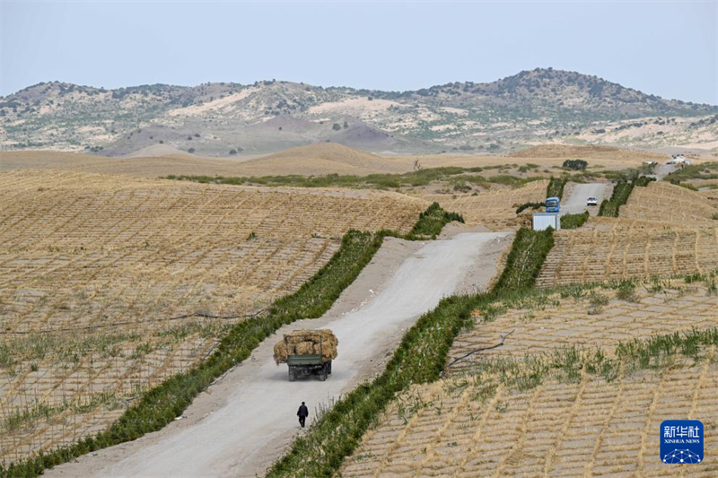 Mongolie intérieure : l'utilisation globale de multiples moyens pour contr?ler les terres sableuses de Horqin